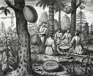 中国の果物 (アーバーポロミー、中国のパパイヤ)、中国のモニュメントからの彫刻 作： Athanasius Kircher