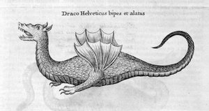 ドラゴン、1678 作： Athanasius Kircher