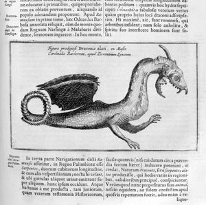 ドラゴン、1678 作： Athanasius Kircher