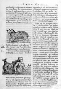 神話上の生き物、1675年。 作： Athanasius Kircher