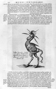 神話上の生き物、1678年。