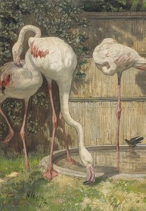 水のプールに3つのフラミンゴ。 1872