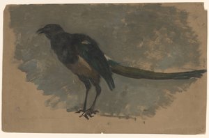 カササギの研究 作： August Allebe