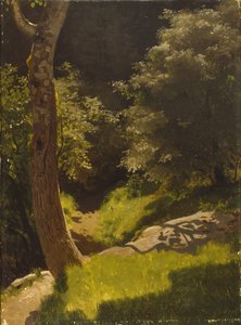 庭の小道のある公園の風景（キャンバスに油彩） 作： August Cappelen