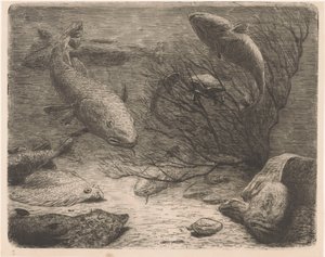 水族館 作： August Le Gras