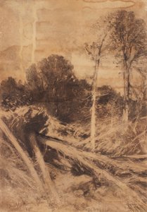 木の研究 作： August Schaeffer von Wienwald