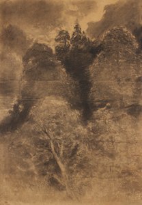木の研究 作： August Schaeffer von Wienwald