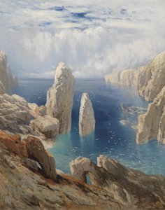 崖 作： August Schaeffer von Wienwald