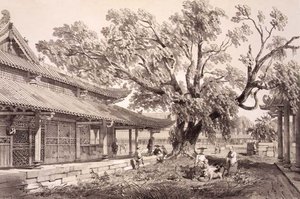 ユージン・シチェリ（1813-90）が彫った「中国のスケッチ」のプレート24「広東湖南郊外の仏陀寺」1842年（彩色リトグラフ）