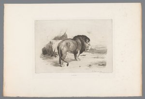 ライオン Un vieux lion (オブジェクトのタイトル) 1874 年のフランスのエッチング (シリーズ タイトル) L