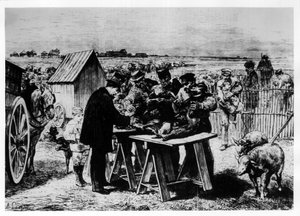 パスツールによる羊のワクチン接種、A.ランソンの彫刻。 作： Auguste Andre Lancon
