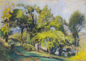 川上の栗の木 作： Auguste Lepere