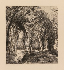 AugusteLepère：RigonetteVendèeでの下草。 作： Auguste Louis Lepère