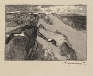フォンテーヌブローの森：アーボン、ルグロサブロンラフォレドフォンテーヌブロー...、1890年。 作： Auguste Louis Lepère