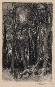 Fontainebleau Forest: Bas-Bréau (フォンテーヌブローの森: Le Bas-Bréau) 作： Auguste Louis Lepère