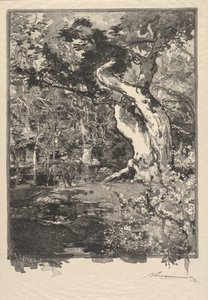 Fontainebleau Forest: Le Clovis, Plateau de Bellecroix (フォンテーヌブローの森: Plateau de Belle-Çroix, le Clovis) 作： Auguste Louis Lepère