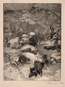 ロッシュ キュヴィエ シャティヨン 作： Auguste Louis Lepère