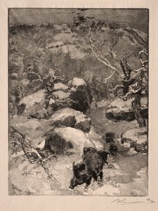 ロシュキュビエシャティヨン、1887年。 作： Auguste Louis Lepère