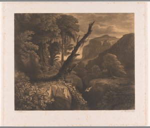 峡谷を飛んでいる鳥のいる山の風景 Dix eaux-fortes par A. Numans (シリーズタイトル) 他のアーティストに続くオーギュスト・ヌマンの顔 (シリーズタイトル) 作： Auguste Numans