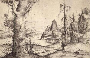 P.9-1993 太い木のある川の風景 作： Augustin Hirschvogel