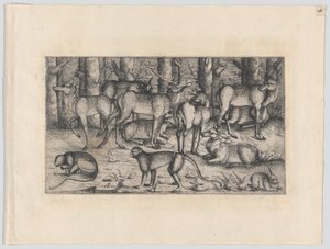 森の中の雄鹿、1545年。 作： Augustin Hirschvogel