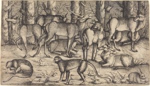 森の中の雄鹿、1545年。 作： Augustin Hirschvogel