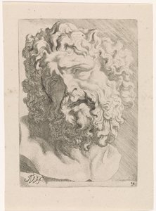 ラクーンの頭 アンソニー・ヴァン・ダイクによる古典的な彫刻と人物画の本の研究（シリーズタイトル）