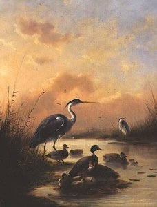 マガモの家族と2羽のサギ（77887のペア 作： Augustus Knip