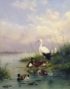マガモの家族、コウノトリ2羽、ツクシガモの家族（77886のペア） 作： Augustus Knip