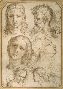 ヘッドスタディ：女性、天使、青年、ひげ面の男性（白紙にペンと茶インク 作： Aurelio (attr. to) Luini