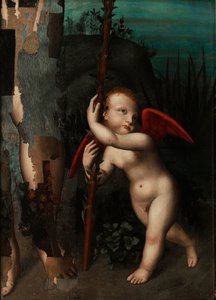 1593年以前の、マートルを持つキューピッド 作： Aurelio Luini