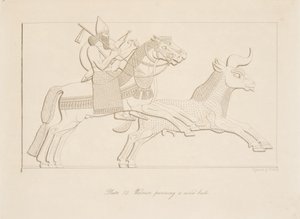 パブ、ニネベのモニュメントから野生の雄牛を追い求める戦士。 1849 作： Austen Henry Layard