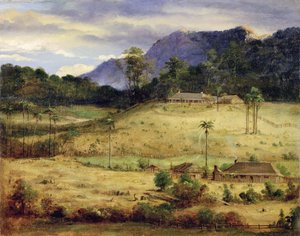 ホームステッド、1850年頃