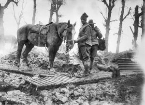 1916年12月、マメッツとモントーバンの間のダックボードトラックで、弾薬を銃とその身元不明のオーストラリア人運転手に輸送するために使用された砲兵馬。 作： Australian Photographer