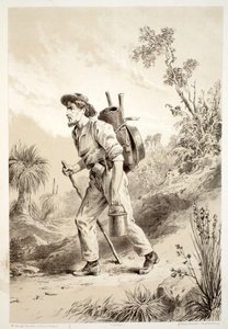 1879年のデビッドブレア、マグレディ、トムソン、およびニーブンによるオーストラレーシアの歴史からのトランプのディガー 作： Australian School
