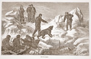 犬との狩猟、1876 作： Austrian School