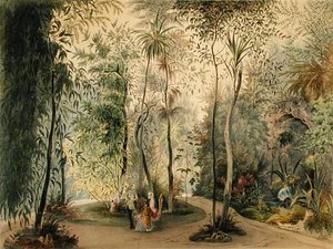 ホーフブルク宮殿のウィンターガーデン、ウィーン、1852年（170854も参照） 作： Austrian School
