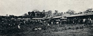 コロニアイタリアーナファゼンダアリンディウバ、1895 作： Axel Frick