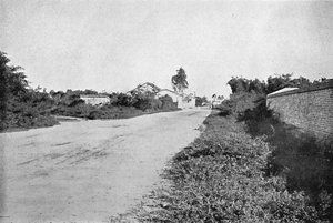 コロニアデS.ベルナルド、サンベルナルドドカンポ植民地、1895年 作： Axel Frick