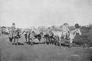 インテリアディーラー、インテリアのトレーダー、1895