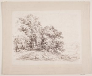木々や牧草地を通り過ぎるライスフェンスの道 作： Axel Schovelin