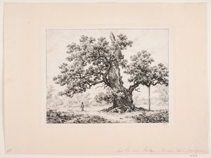 コウノトリ固有種。 ハンター賞 作： Axel Schovelin
