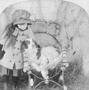 あなたが話すことができない、ジャック、1882 作： B. W. Kilburn