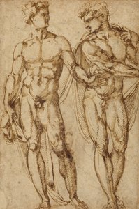 二人の男の習作（レクト）；髭を生やした男の頭部の習作（裏面） 作： Baccio Bandinelli