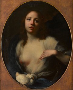 白い鳩を持つ少女の絵（キャンバスに油彩） 作： Baldassare (1611 89) Franceschini