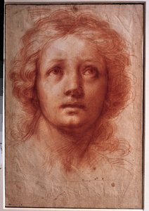 女性の頭部の研究、固定された視線は上を向いている 水墨画 フランチェスキーニ・バルダッサーレ・ディット・イル・ヴォルターラーノ（1611-1689）作。17世紀の作品。寸法0.42x0.28m。パリ、ルーヴル美術館