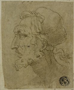 プロフィールの男性の頭 作： Baldassare Peruzzi