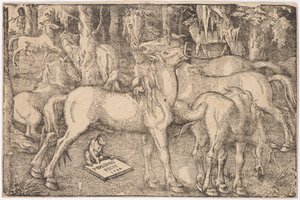 7頭の馬の群像、1534年 作： Baldung