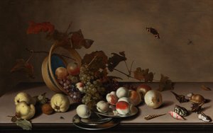 枝編み細工品バスケット、ムール貝、蝶のある果物の静物画、17 世紀前半。 作： Balthasar van der Ast