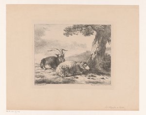 ヤギとヒツジ 作： Balthasar Paul Ommeganck